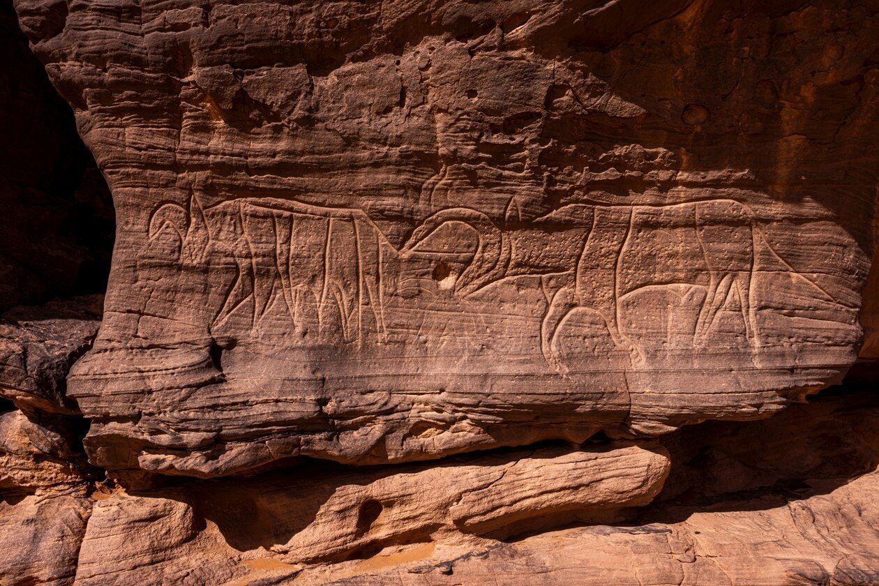 Algeria rock art