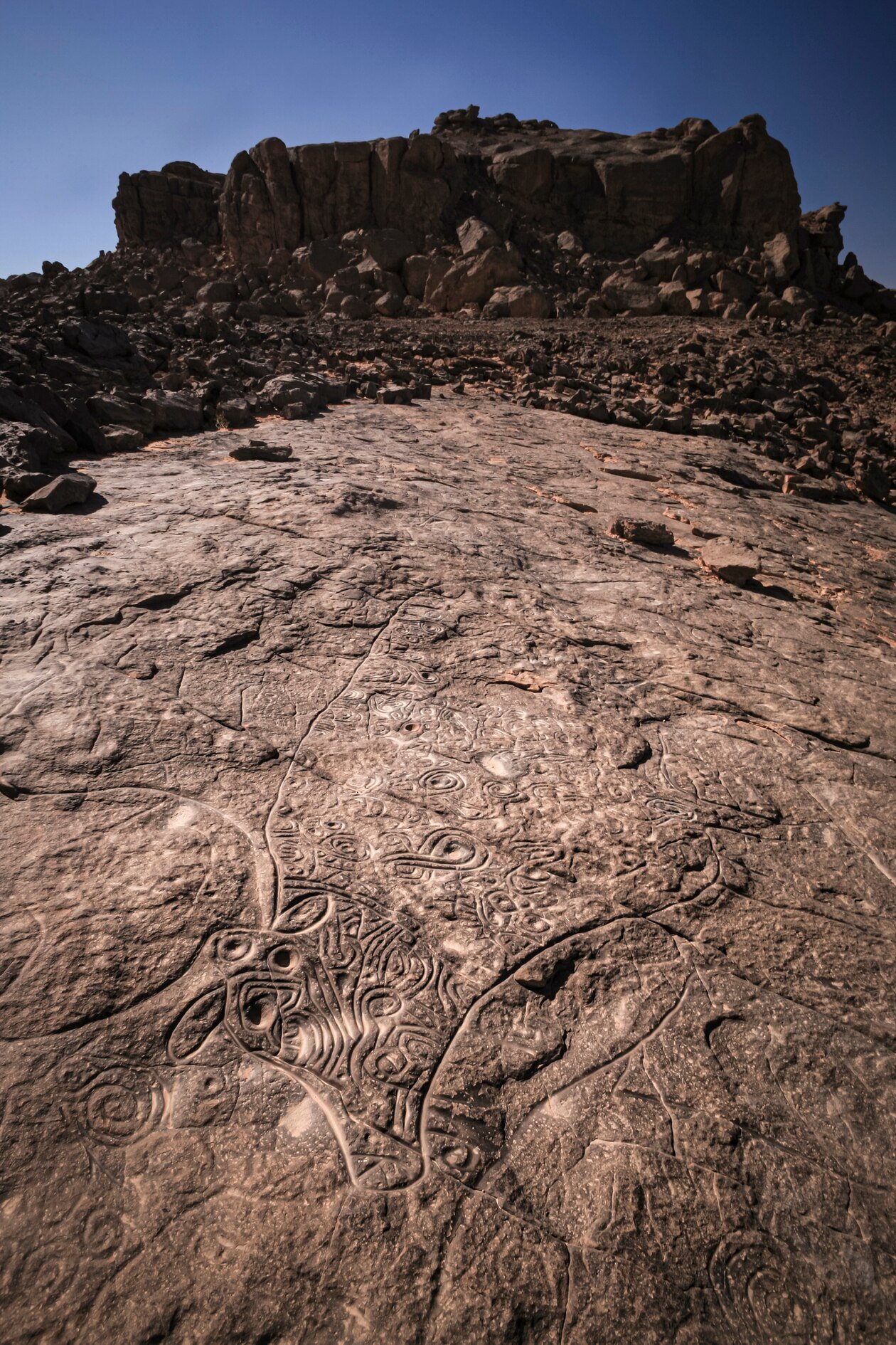 Algeria rock art